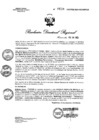 Vista preliminar de documento RDR N° 0638-2023 GOB-REG-HVCA-DIRESA