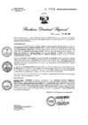 Vista preliminar de documento RDR N° 0704-2023 GOB-REG-HVCA-DIRESA