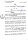 Vista preliminar de documento RD N°088