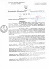 Vista preliminar de documento RD N°089