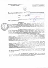 Vista preliminar de documento RD N°095