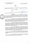 Vista preliminar de documento RD N°096