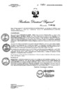 Vista preliminar de documento RDR N° 0451-2023 GOB-REG-HVCA-DIRESA
