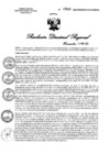 Vista preliminar de documento RDR N° 0540-2023 GOB-REG-HVCA-DIRESA