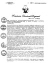 Vista preliminar de documento RDR N° 0600-2023 GOB-REG-HVCA-DIRESA