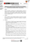 Vista preliminar de documento DIRECTIVA 006-2023-MTC - RD_1229_2023_MTC_20