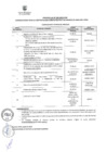 Vista preliminar de documento CRONOGRAMA PROCESO N°32