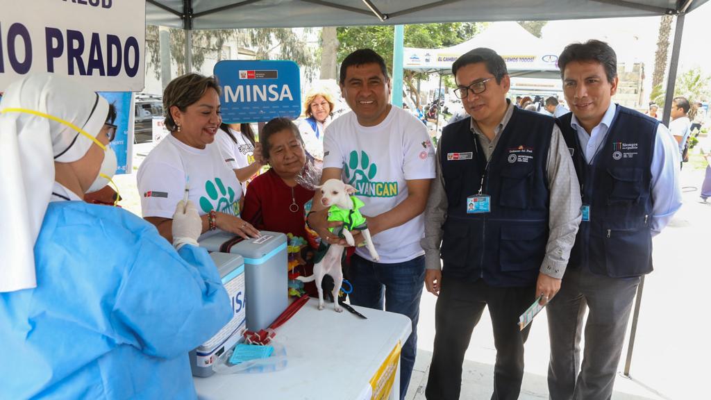 Diris Lima norte vacunará más de 289 000 canes en campaña antirrábica canina “VanCan 2023”