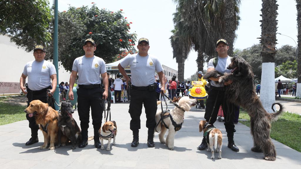 Diris Lima norte vacunará más de 289 000 canes en campaña antirrábica canina “VanCan 2023”