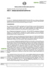 Vista preliminar de documento RDE-000222-2023-DE