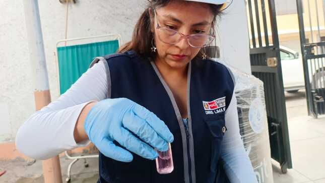 Digesa 
