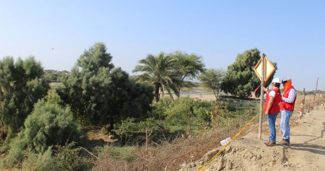 La Contraloría General alertó al Proyecto Especial Chira Piura (PECHP) que no está adoptando acciones para contar con la disponibilidad física del terreno, lo que impide la ejecución de la obra de reparación de dique del río Piura, en la margen izquierda y derecha, entre los puentes Bolognesi y Grau y cuya inversión supera los S/ 11 millones.