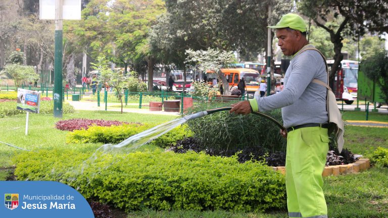  Trabajamos diariamente para recuperar y mantener las áreas verdes del distrito . En esta oportunidad se realizó la limpieza, poda y trabajos de recuperación del ornato del Parque Defensores de la Democracia.
 ¡Un mejor lugar para vivir para todos los jesusmarianos! ​