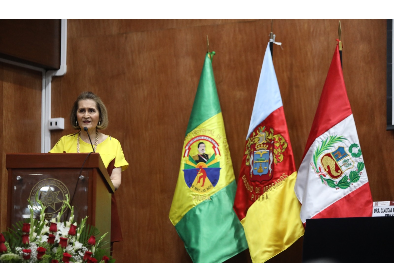 Exposición de la magistrada Luz Pacheco Zerga