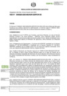 Vista preliminar de documento RDE-000225-2023-DE
