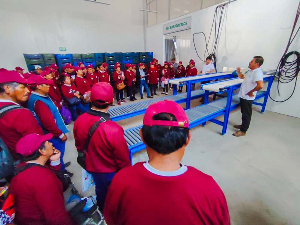 Más de 150 productores de melón, sandía y zapallo fueron capacitados en asociatividad y sanidad agraria