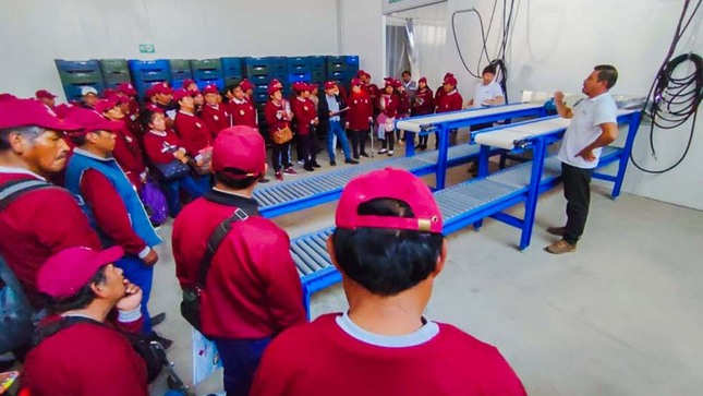 Más de 150 productores de melón, sandía y zapallo fueron capacitados en asociatividad y sanidad agraria