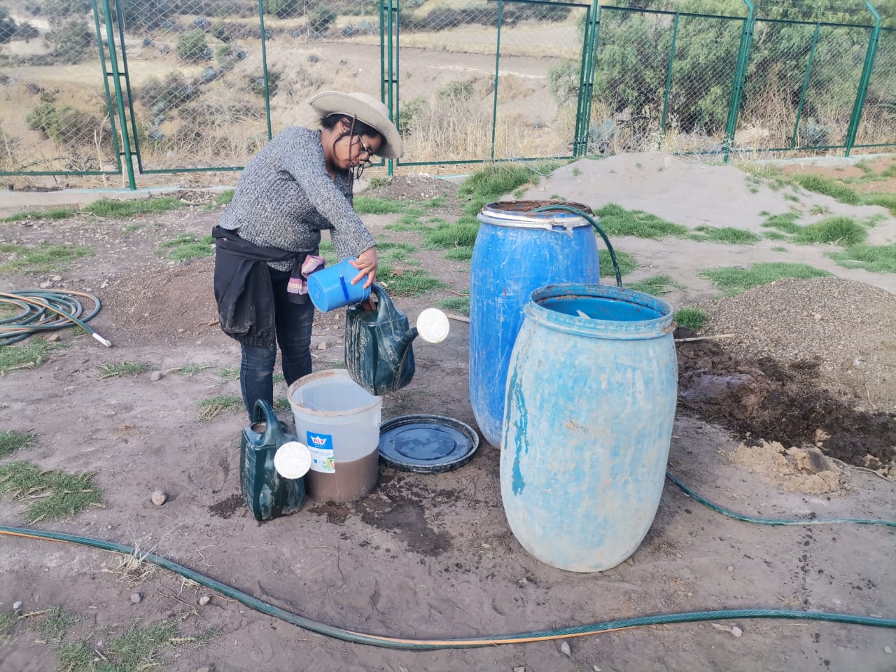Proyecto Forestal Fajardo emplea técnica de fertilización: la inoculación de micorriza