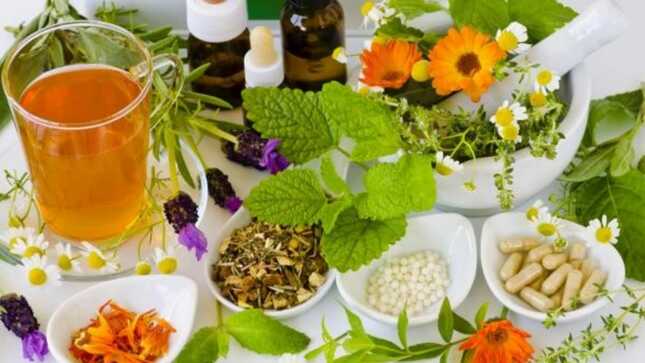 Minsa y el INS aprueban creación del grupo de trabajo sectorial para la elaboración de la fitofarmacopea peruana