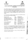 Vista preliminar de documento ACTA DE APROBACIÓN DEL PLAN LOCAL 2016