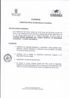 Vista preliminar de documento NOVENA SESIÓN