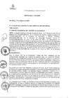 Vista preliminar de documento PLAN DE ACCIÓN DISTRITAL DE SEGURIDAD CIUDADANA 2022