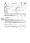 Vista preliminar de documento PERFIL PROCESO N°36