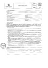 Vista preliminar de documento PERFIL PROCESO N°37
