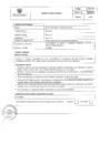 Vista preliminar de documento PERFIL PROCESO N°38