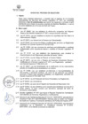 Vista preliminar de documento BASES DEL PROCESO N°39