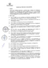 Vista preliminar de documento BASES DEL PROCESO N°41