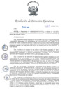 Vista preliminar de documento RDE_264-2023-MTC_24