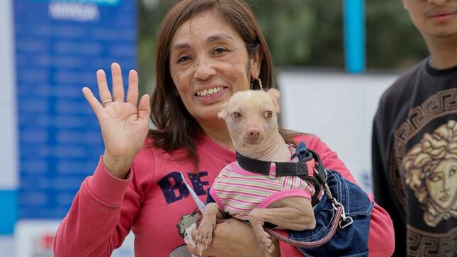 Foto 1 de ¡Seamos dueños responsables! Aprende los siguientes consejos para cuidar a tu mascota 