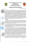 Vista preliminar de documento rgm392