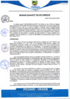 Vista preliminar de documento rgm396