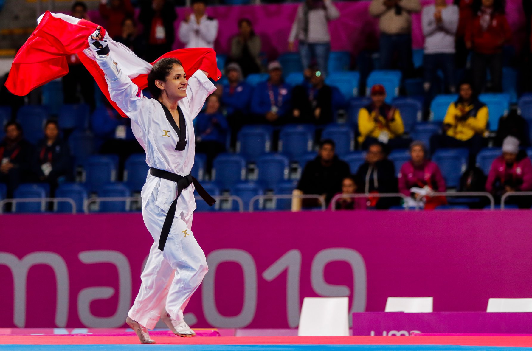 Parataekwondo