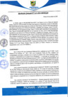 Vista preliminar de documento rgm413