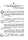 Vista preliminar de documento RDE Nº 160-2023-MIDAGRI-PROVRAEM-DE