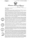 Vista preliminar de documento RDR N° 0029-2021 GOB-REG-HVCA-DIRESA