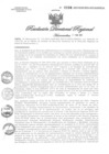Vista preliminar de documento RDR N° 0194-2021 GOB-REG-HVCA-DIRESA