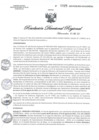 Vista preliminar de documento RDR N° 0225-2021 GOB-REG-HVCA-DIRESA