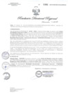 Vista preliminar de documento RDR N° 0381-2021 GOB-REG-HVCA-DIRESA