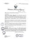 Vista preliminar de documento RDR N° 0517-2021 GOB-REG-HVCA-DIRESA