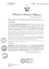 Vista preliminar de documento RDR N° 0633-2021 GOB-REG-HVCA-DIRESA