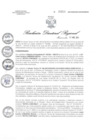 Vista preliminar de documento RDR N° 0950-2021 GOB-REG-HVCA-DIRESA