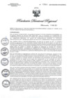 Vista preliminar de documento RDR N° 0980-2021 GOB-REG-HVCA-DIRESA