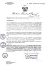 Vista preliminar de documento RDR N° 1196-2021 GOB-REG-HVCA-DIRESA