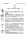 Vista preliminar de documento RDR N° 1295-2021 GOB-REG-HVCA-DIRESA