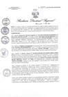 Vista preliminar de documento RDR N° 1375-2021 GOB-REG-HVCA-DIRESA