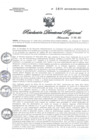 Vista preliminar de documento RDR N° 1409-2021 GOB-REG-HVCA-DIRESA